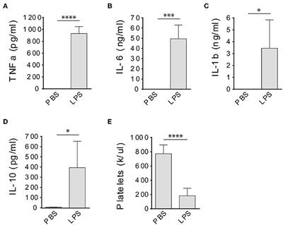 Macrophage Depletion Mitigates Platelet Aggregate Formation in Splenic Marginal Zone and Alleviates LPS-Associated Thrombocytopenia in Rats